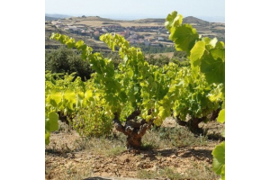 Domaines Lupier