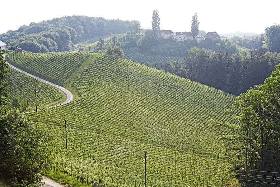 Sattlerhof