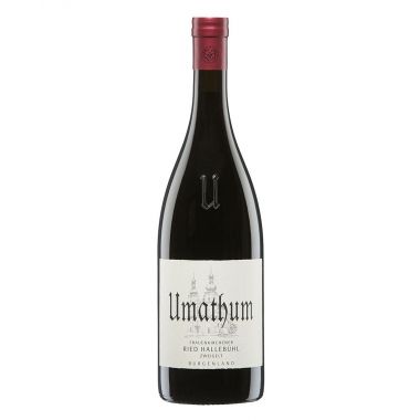 Burgenland 'Ried Hallebühl' 2020 Umathum